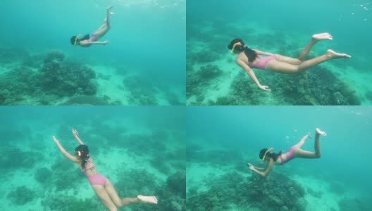 年轻苗条的女性浮潜者在海底游泳，观察珊瑚。高清在线视频素材下载