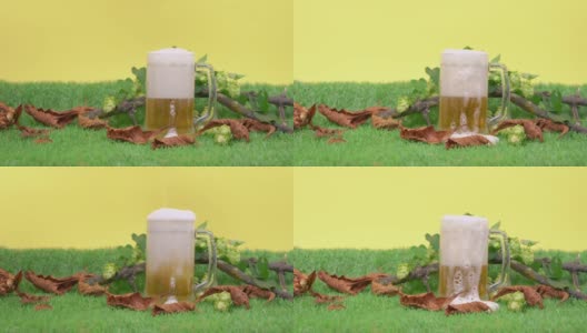 大杯子里装满了啤酒，厚厚的泡沫，黄色的底色。杯子放在绿色的人造草坪上，上面装饰着干树叶、树枝和一簇簇啤酒花高清在线视频素材下载