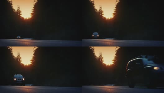 在日落时分，汽车在高大的树林间行驶高清在线视频素材下载
