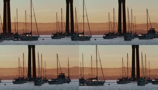 摇摄科罗纳多大桥下的帆船高清在线视频素材下载