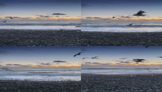 海鸥飞翔的慢动作视频。垂直方向，全高清。高清在线视频素材下载