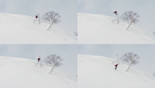 滑雪板Bonk树与滑雪板阳光粉雪日本北海道高清在线视频素材下载