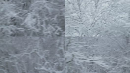 冬季驾驶-驾驶在一个崎岖的乡村道路，正通过一个积雪的森林-手把手的商店高清在线视频素材下载