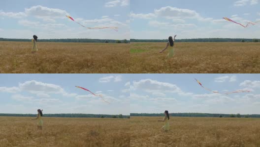 阳光明媚的日子里，快乐的女人牵着风筝在麦田里奔跑高清在线视频素材下载