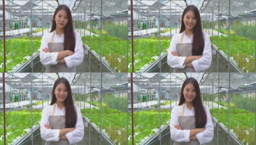年轻的新一代亚洲女孩农民站在他的双臂交叉照顾蔬菜种植的农场，农业是可持续的农业健康食品。高清在线视频素材下载