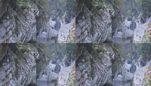 紫杉黄杨树林，峡谷的魔鬼门，在索契市，克拉斯诺达尔地区。白石和秋雾中的玉簪河高清在线视频素材下载