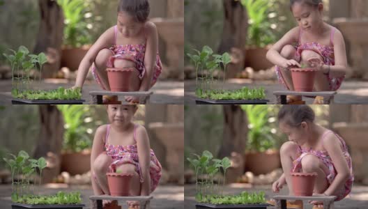 亚洲小女孩在菜园里种了一棵新树高清在线视频素材下载