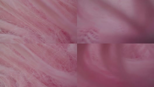 多莉拍摄微距:抽象的粉色羽毛特写微距。高清在线视频素材下载