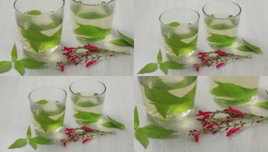玻璃茶杯，新鲜的鼠尾草茶，叶和红花高清在线视频素材下载