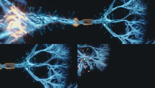 神经元的全息图高清在线视频素材下载