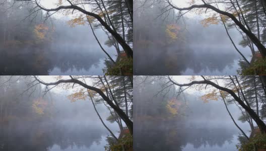 秋天的雾高清在线视频素材下载