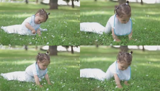 宝宝第一次在草地上爬高清在线视频素材下载