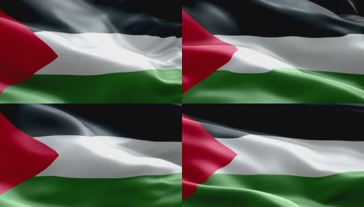 国旗巴勒斯坦波浪图案可循环元素高清在线视频素材下载