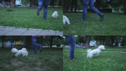 一个人和他的狗在公园里跑步高清在线视频素材下载