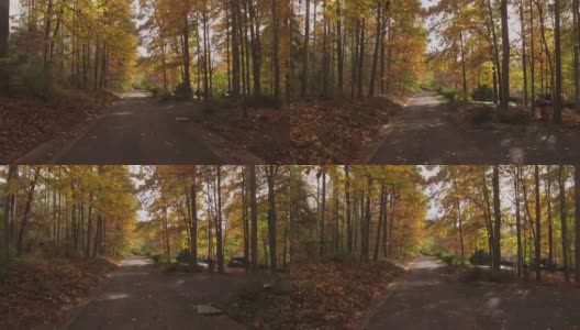 弗吉尼亚的秋天之旅高清在线视频素材下载