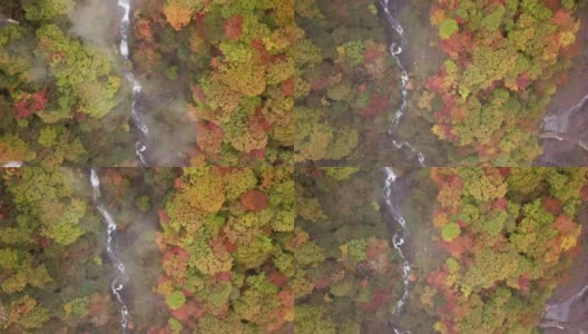 空中拍摄的秋天瀑布与森林在日光日本改变了颜色高清在线视频素材下载