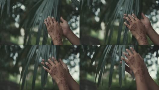 东方女子的手抚摸着热带棕榈树的绿叶，特写高清在线视频素材下载
