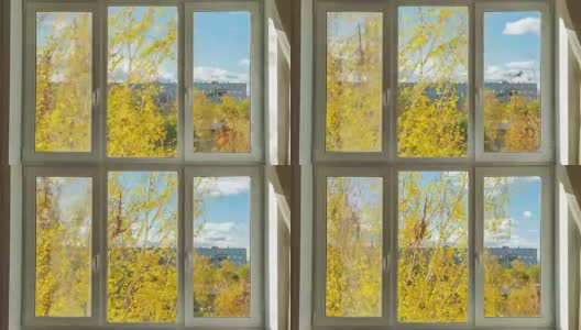 紧闭的白窗远眺黄秋树。时间流逝的视频高清在线视频素材下载