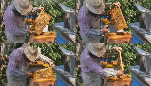 养蜂人从蜂箱中取出一箱蜂蜜。高清在线视频素材下载