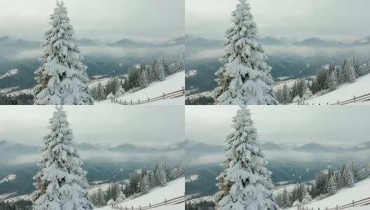 冬天的山。农村景观。树被雪覆盖着。新年快乐高清在线视频素材下载