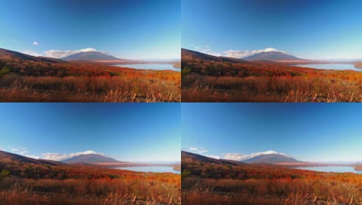 美丽的富士山与枫树在秋天的日本高清在线视频素材下载