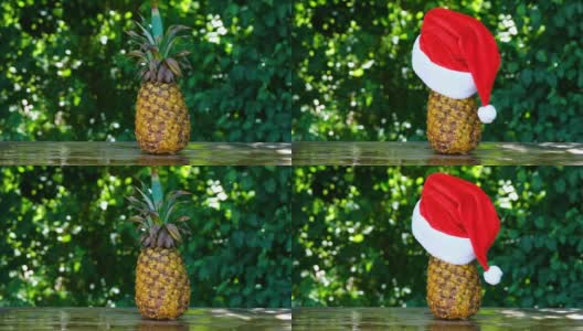 圣诞帽落在菠萝上高清在线视频素材下载