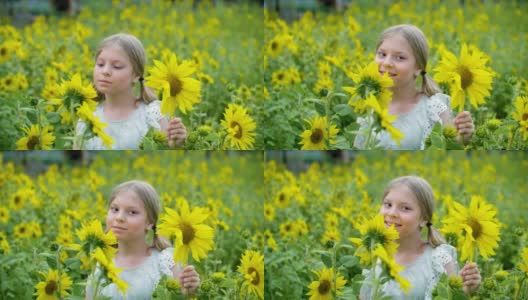 肖像美丽的女孩与黄色的向日葵在农村的田野。近距离特写浪漫少女与向日葵摆姿势在农村草地。高清在线视频素材下载
