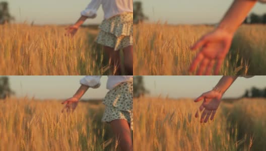 一个穿着裙子的年轻女子走过一片成熟的麦田，用手触摸着一根金色的麦穗高清在线视频素材下载