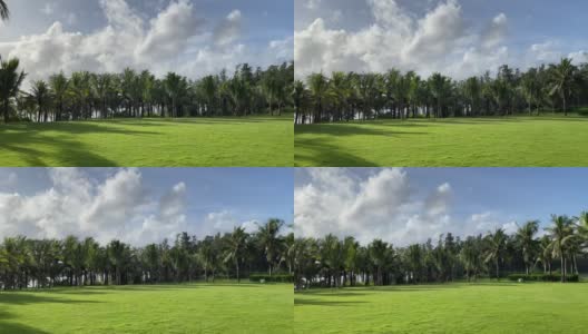 海南三亚热带绿色景观高清在线视频素材下载