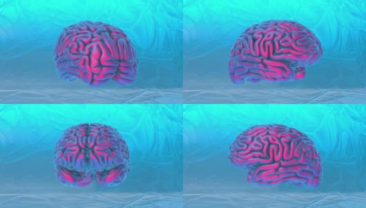 人的大脑冻结线框旋转三维抽象艺术视频无缝循环运动高清在线视频素材下载