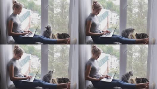 有魅力的女孩坐在窗台上用笔记本电脑和猫在一起高清在线视频素材下载