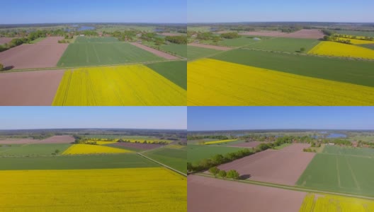 油菜田和易北河附近的耕地鸟瞰图在地区Lüchow-Dannenberg在下萨克森州-德国高清在线视频素材下载