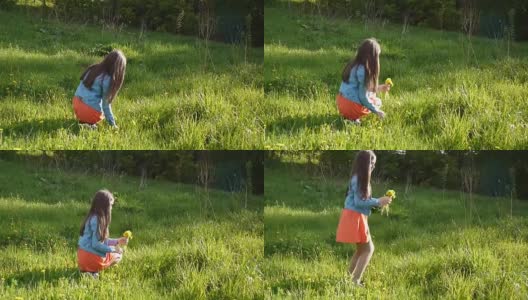 女孩在草地上采摘黄色的蒲公英。蒲公英。春季的一天。美丽的微笑少年在春天的公园与鲜花。视频拍摄运动相机与稳定器高清在线视频素材下载