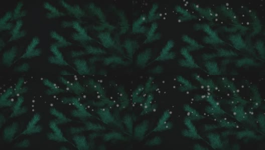 圣诞绿色的树枝上点缀着冬日的雪景高清在线视频素材下载