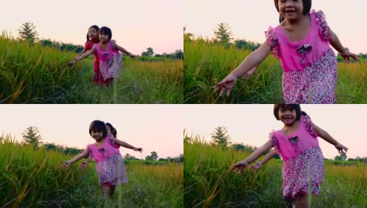 两个小女孩的手触摸着稻田里的绿草。乡村及自然风景高清在线视频素材下载