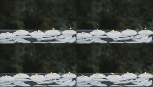 在水中燃烧的小蜡烛和荷花花瓣的特写高清在线视频素材下载