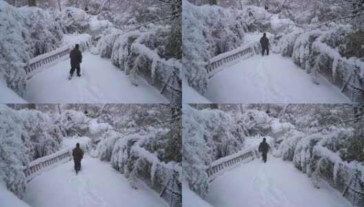 男人走在全雪的公园里，雪白的风景。Filomena风暴。缓慢的运动。第三章西班牙马德里。高清在线视频素材下载