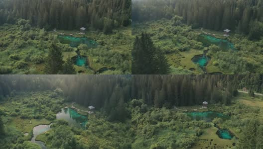 森林中湖泊的鸟瞰图高清在线视频素材下载