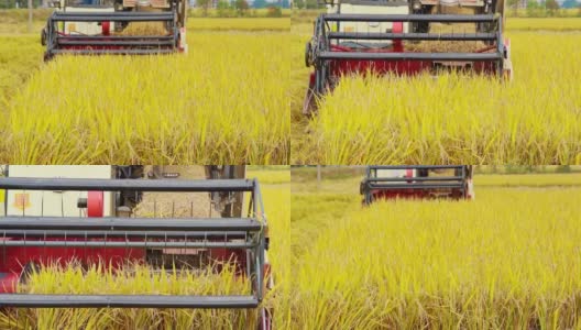农田机械收获水稻的场景高清在线视频素材下载